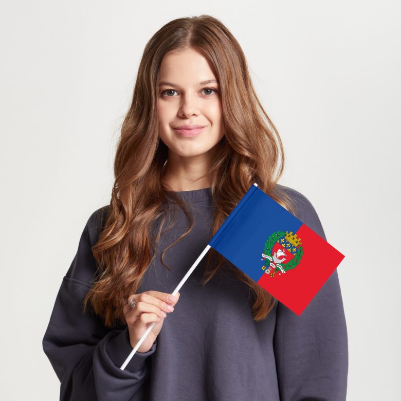 Флаг малый двусторонний с подкладкой Париж