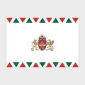Флаг большой односторонний, Блэкаут Будапешт