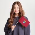 Флаг малый двусторонний с подкладкой Мадрид