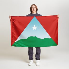 Флаг стандартный двусторонний с подкладкой Каракас