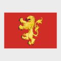 Флаг стандартный двусторонний, Блэкаут Валлетта