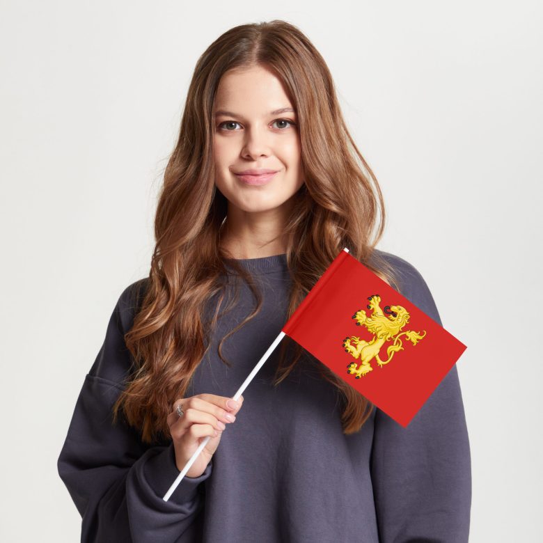 Флаг стандартный двусторонний, Блэкаут Валлетта