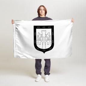 Флаг малый односторонний прямая печать Мехико