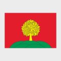 Флаг стандартный двусторонний Липецкая область