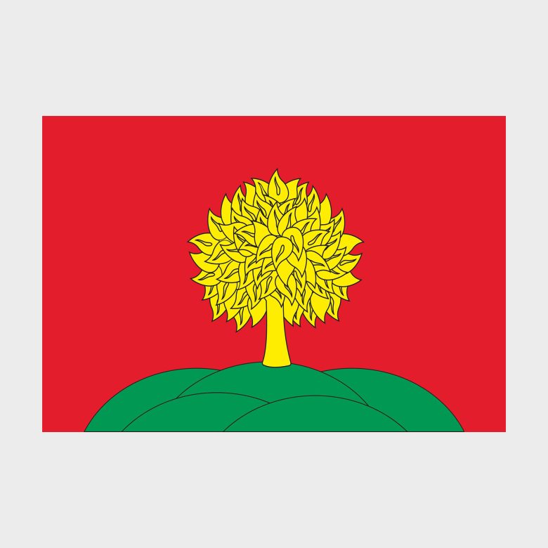 Флаг стандартный двусторонний Липецкая область