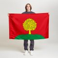 Флаг стандартный двусторонний Липецкая область