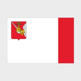 Флаг стандартный двусторонний, Блэкаут Вологодская область