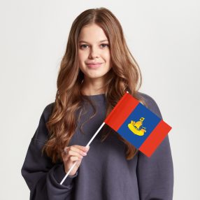 Флаг малый двусторонний Костромская область