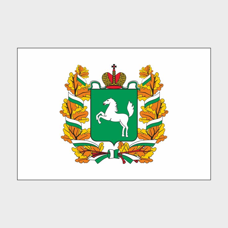 Флаг стандартный двусторонний, Блэкаут Томская область