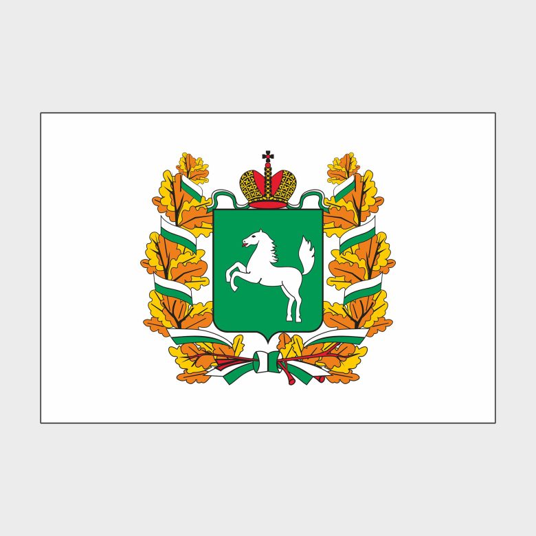Флаг стандартный двусторонний, Блэкаут Томская область