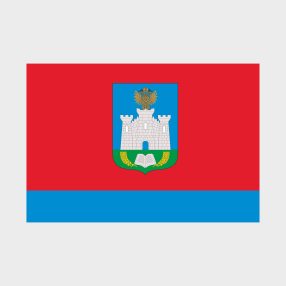 Флаг среднего размера односторонний Орловская область