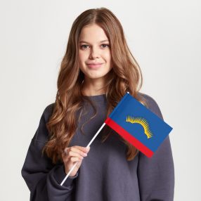 Флаг большой односторонний, Блэкаут Мурманская область