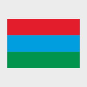 Флаг стандартный двусторонний с подкладкой Республика Карелия