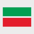 Флаг малый двусторонний с подкладкой Республика Татарстан