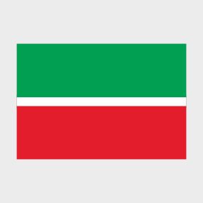 Флаг малый односторонний Республика Татарстан