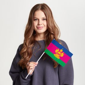 Флаг большой двусторонний с подкладкой Краснодарский край