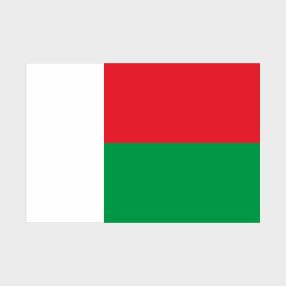 Флаг малый односторонний прямая печать Мадагаскар