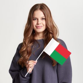 Флаг малый двусторонний Мадагаскар
