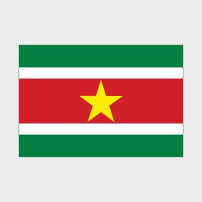 Флаг стандартный двусторонний Суринам