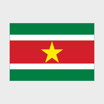 Флаг стандартный односторонний Суринам