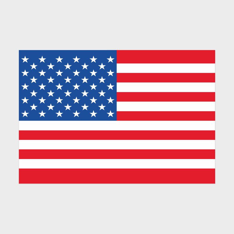 Флаг стандартный двусторонний, Блэкаут США