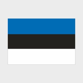 Флаг среднего размера двусторонний с подкладкой Эстония