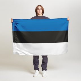 Флаг малый односторонний прямая печать Эстония