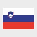 Флаг большой односторонний с прямой печатью Словения