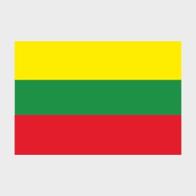 Флаг среднего размера односторонний, Блэкаут Литва