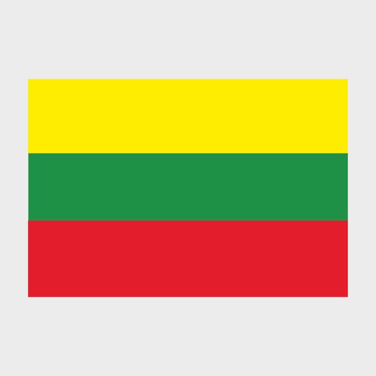 Флаг малый двусторонний с подкладкой Литва