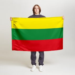Флаг малый двусторонний с подкладкой Литва