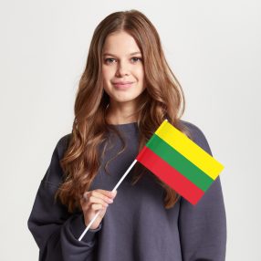 Флаг малый двусторонний с подкладкой Литва
