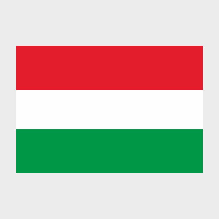 Флаг большой односторонний с прямой печатью Венгрия