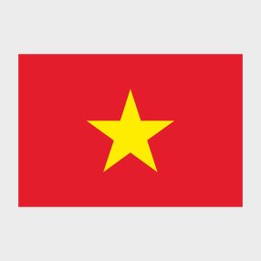 Флаг стандартный двусторонний, Блэкаут Вьетнам