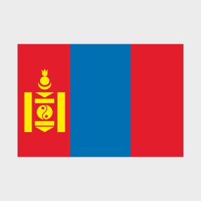 Флаг среднего размера односторонний, Блэкаут Монголия