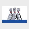 Флаг стандартный двусторонний с подкладкой Петропавловск-Камчатский