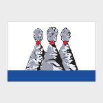 Флаг среднего размера односторонний, прямая печать Петропавловск-Камчатский