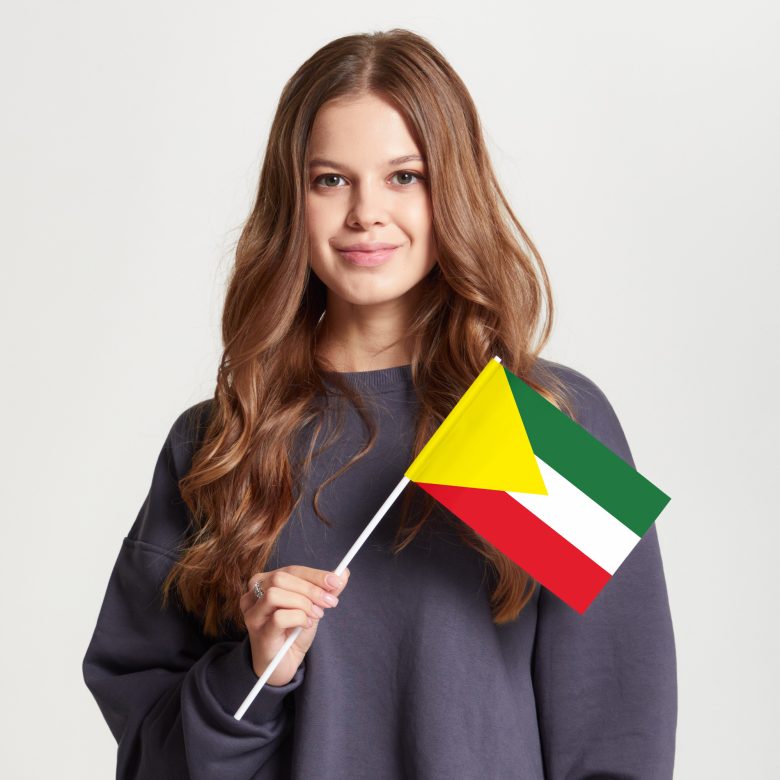 Флаг стандартный односторонний Чита