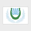 Флаг малый односторонний прямая печать Нальчик