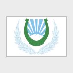 Флаг малый двусторонний Нальчик