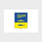 Флаг малый двусторонний Мурманск