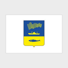 Флаг малый двусторонний, Блэкаут Мурманск