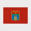 Флаг малый односторонний прямая печать Волгоград