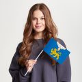 Флаг малый двусторонний Псков