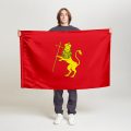 Флаг стандартный двусторонний Владимир