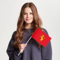 Флаг стандартный двусторонний Владимир