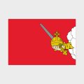 Флаг большой односторонний Вологда