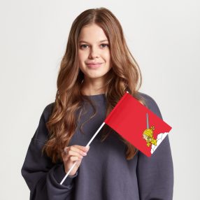 Флаг большой односторонний Вологда