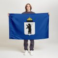 Флаг малый односторонний прямая печать Ярославль