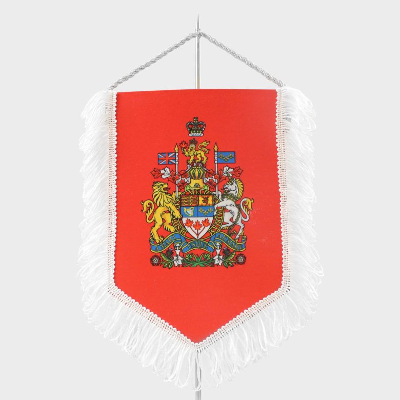 Вымпел двусторонний  на картоне (жесткий), с бахромой, шнур для подвеса (12х18 см
